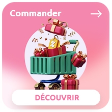 COMMANDER