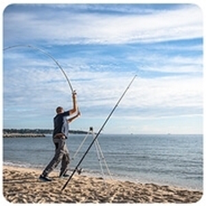 Pêches en mer