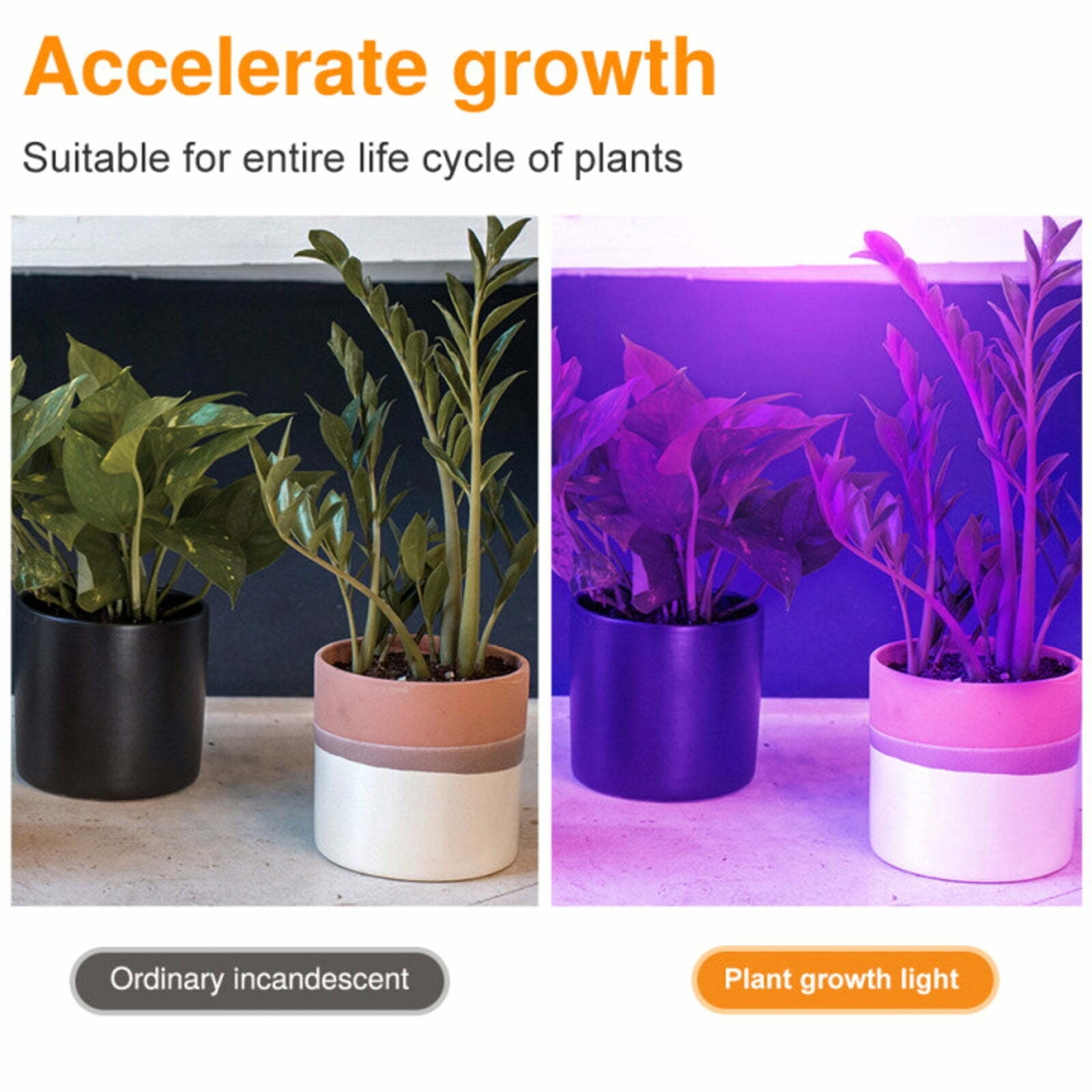 DTOWER Plant Fill Light Blub Heat Dissipation Potted Plant Fill Light Energy-saving Plant Growth Light with E27 Screw 80 Beads for Garden Yard