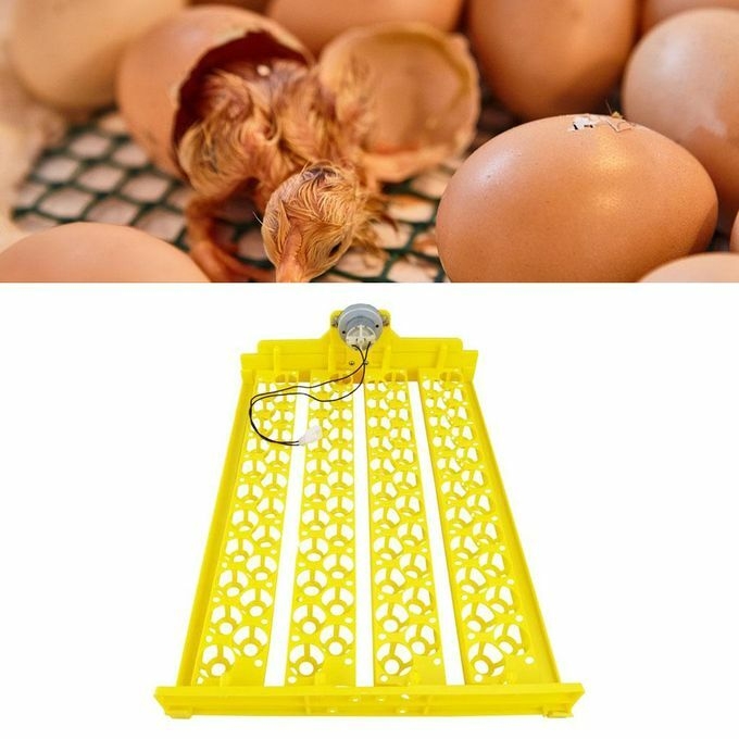 product_image_name-Generic-Eggs Incubator 88 Eggs Automatic Egg Turning Brooder Hatcher DC 12V-3