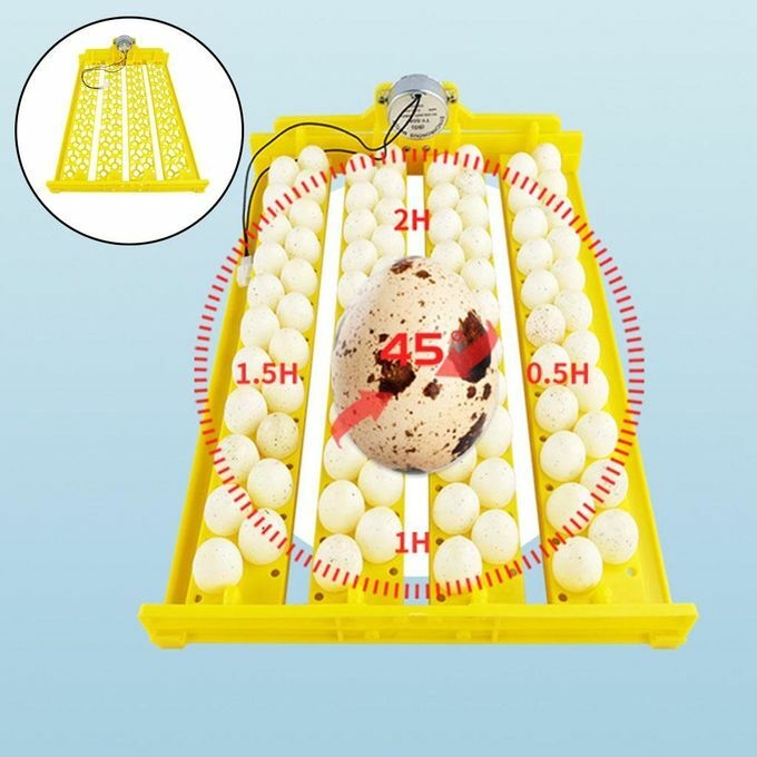 product_image_name-Generic-Eggs Incubator 88 Eggs Automatic Egg Turning Brooder Hatcher DC 12V-5
