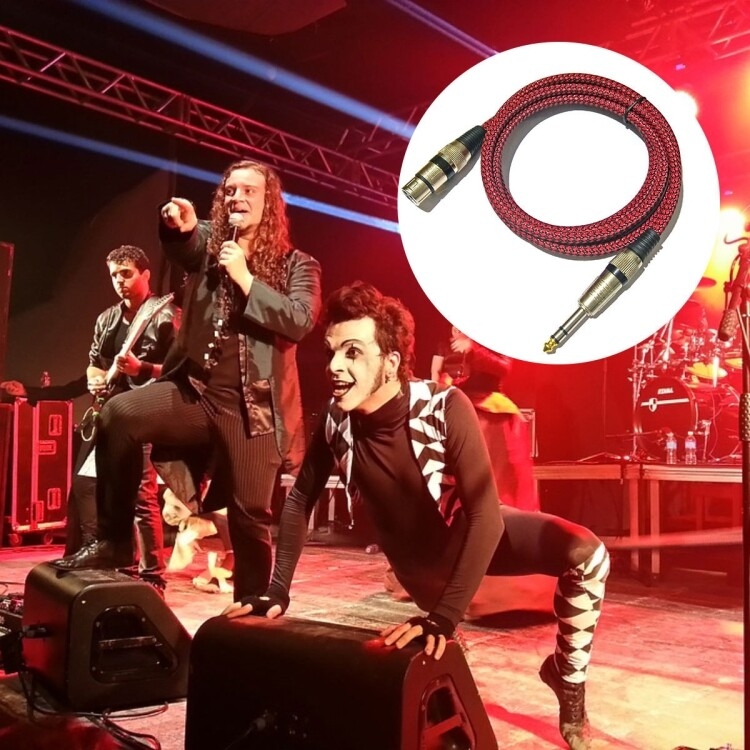 1m 红黑网 TRS 6.35mm公转卡农母 麦克风XLR平衡线 - B8