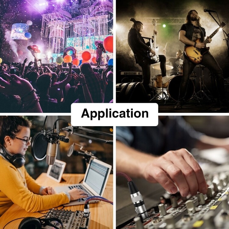 1m 红黑网 TRS 6.35mm公转卡农母 麦克风XLR平衡线 - B9