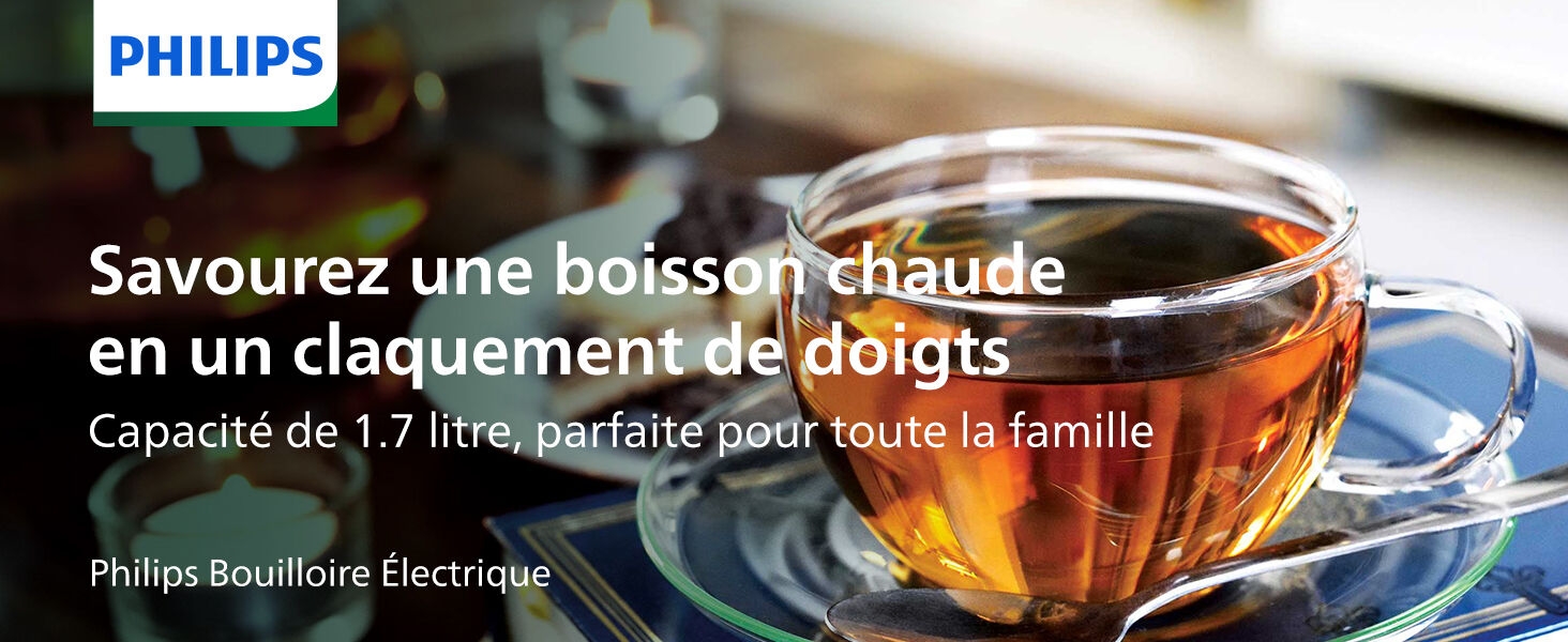 bouilloire electrique bouilloire thermostat réglable boulloires electriques temperature reglable