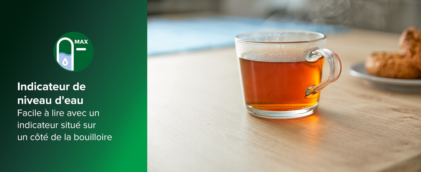 bouilloire electrique bouilloire thermostat réglable boulloires electriques temperature reglable