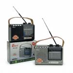 Fepe Radio / Haut-parleur Bluetooth Multibande - Batterie rechargeable - Support carte memoire