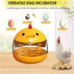 product_image_name-Generic-Incubateur d'œufs, contrôle précis de la température, retournement manuel des œufs, disponible pour les poules, les canards et les oies-4