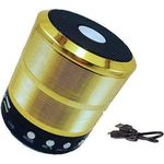 Mini Haut - Parleur sans fil  Portable avec port USB carte TF  - FM - WS-887