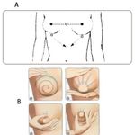 product_image_name-Generic-Huiles Essentielles - Pousse seins - Lift Bust Up - Papaya-2