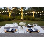 product_image_name-Generic-Nappe avec bordure dentelle blanche et des anneaux décoratifs. -3