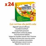 Carton de 24 boîtes – Tisane Miel Gingembre Petit Cola (10 infusettes par boîte)