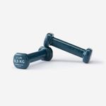 product_image_name-NYAMBA by decathlon-HALTERES PVC 0.5 KG-1