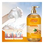 product_image_name-Generic-UAZAN - Gel Douche Clarifiant au Curcuma (500ml) - Enrichi en Vitamine C & Acide Kojique-2