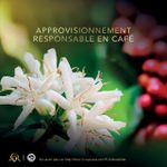 product_image_name-Generic-Capsules de Café L’OR Espresso Supremo – Intensité 10 – Pack de 50 Capsules-4