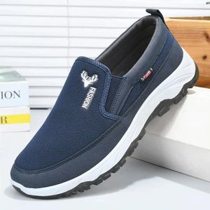 GALUIN Chaussures en toile pour hommes - Bleu