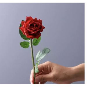Rose rouge fleur  pour la saint-valentin
