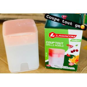 Coupe Oignon et légumes (pomme de terre, Carotté et autre) 