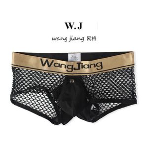 Sous-vêtements pour hommes en maille, boxers, sous-vêtements érotiques