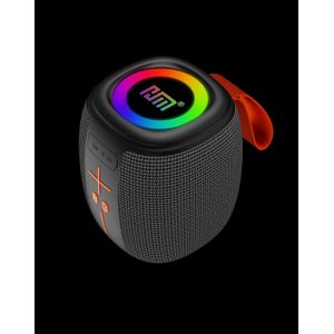 Haut parleur bluetooth professionnel sans Fil Port USB radio FM.