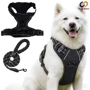 Gray Stars Laisse pour animaux 1,5M + Harnais, Laisse pour animaux Fournitures extérieures pour chats et chiens-Noir