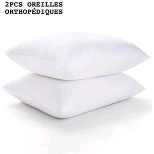 Lot de 2 oreiller 