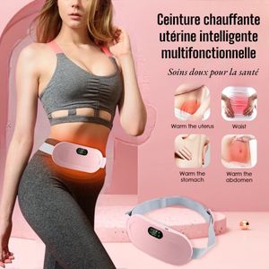 Generic Ceinture Lombaire Chauffante - Bande Abdominale . - Prix