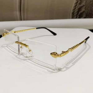 Autre Lunettes photogray percées 2