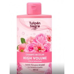 Tulipàn Negro Championg high volume 