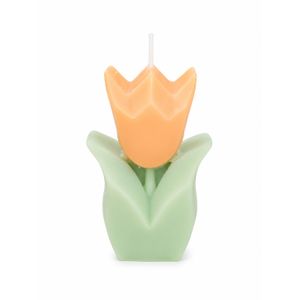 Bougie Parfumée Tulipe Élégance - Orange
