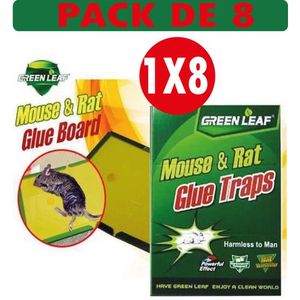 Green Leaf Pack 5 Sachets Poudre appât anti MOUCHE piege anti