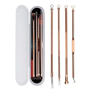 ShebSheb Ensemble de 4 pièces en acier inoxydable pour éliminer les points noirs et l'acné avec étui, outils de soins de la peau pour des pores propres et un usage esthétique
