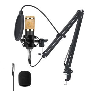 Micro Cravate Double Tête Avec 2 Pare-brise Bonnette Microphone