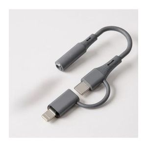 Câble Adaptateur Lightning+Type C Vers  AUX - SX-152