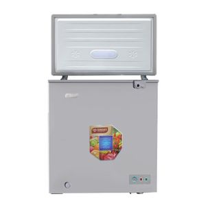 SMART TECHNOLOGY Congélateur Horizontal STCC-255H - 141 L - GRIS - 12 Mois Garantie