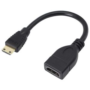 Câble Mini HDMI Mâle vers HDMI 19 Broches Femelle de 17 cm