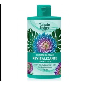 Tulipàn Negro Championg rivitalizzante