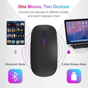 Hp Souris Sans Fil Rechargeable Bluetooth avec USB 2.4 GHz, 