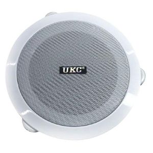 Haut-parleurs de plafond UKC CS-5500BM