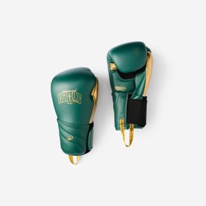 Domyos Gants de boxe, boxeurs confirmés, mousse monobloc, vert