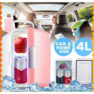 Autre Mini frigo pour voiture 