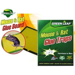 Green Leaf 4 Pièges à leurre pour souris et rat panneaux collants de force piège à colle intérieur et extérieur