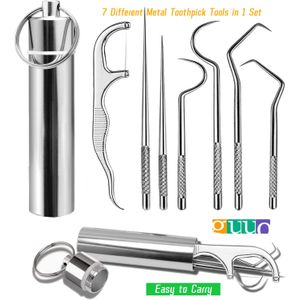 Ensemble de 7 pièces de cure-dents en acier inoxydable portable, kit de nettoyage de cure-dents en métal réutilisable avec porte-cure-dents pour pique-nique, camping et voyage