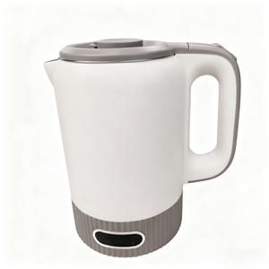 Bouilloire électrique chauffe eau multifonction 