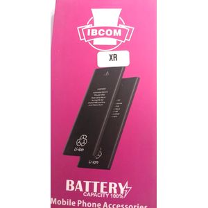 TDK BATTERIE SMARTPHONE POUR IPHONE XR