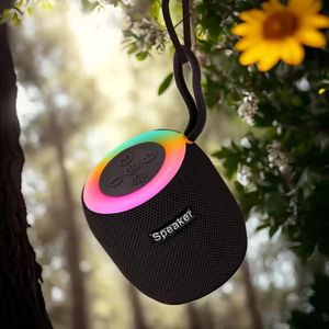 Mini Haut-Parleur Sans Fil Avec Carte USB TF 