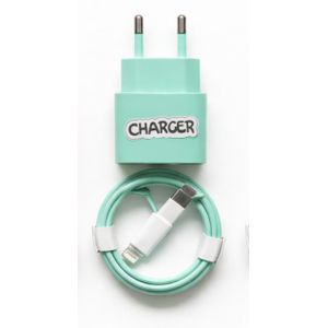 Chargeur iPhone Rapide + Câble Lightning Inclus – Qualité Premium Couleurs & VERT CLAIR
