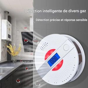 Détecteur 2-en-1 de fumée et de monoxyde de carbone avec capteurs doubles, détecteur de fumée combiné, indicateur LED et alarme sonore forte.