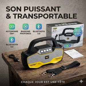 Haut-parleurs Portables Sans Fil Bluetooth Radio FM