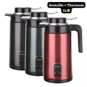 Bouilloire thermous 3L