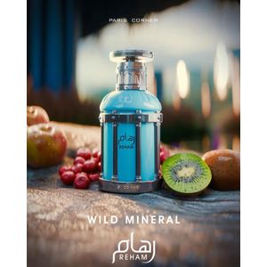 Paris Corner Eau de Parfum Reham - minéral sauvage unisex - 100 ml